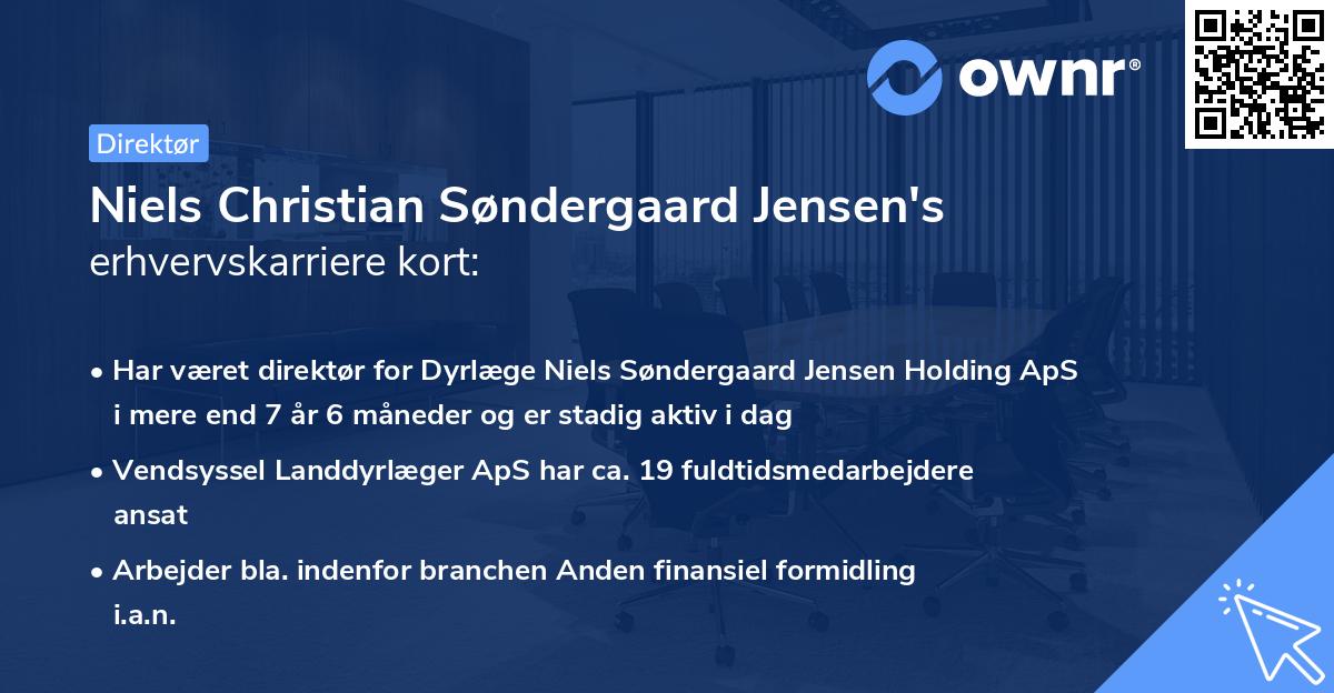 Niels Christian Søndergaard Jensen's erhvervskarriere kort