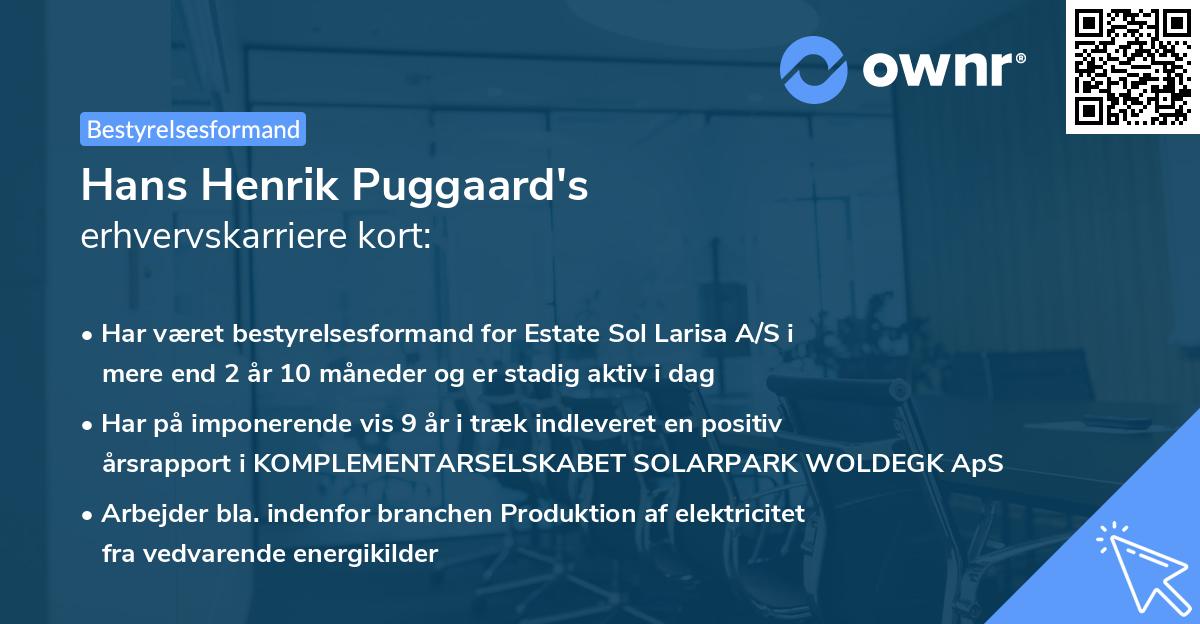 Hans Henrik Puggaard's erhvervskarriere kort