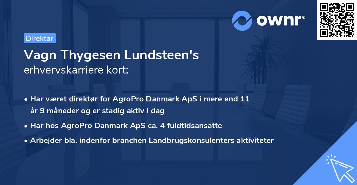 Vagn Thygesen Lundsteen's erhvervskarriere kort