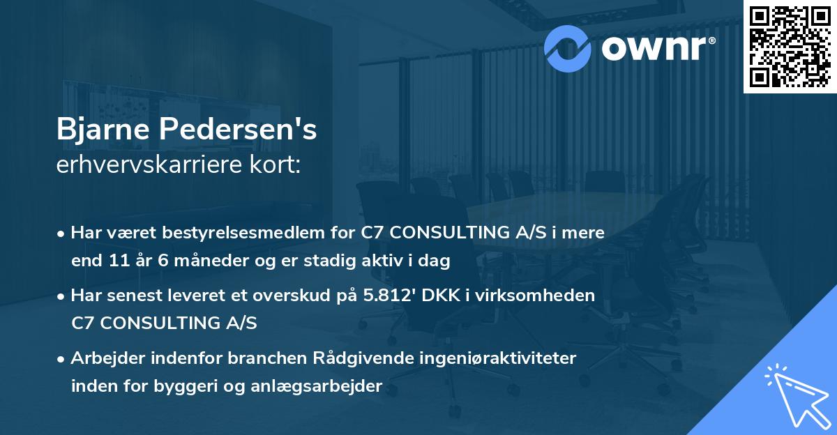Bjarne Pedersen's erhvervskarriere kort
