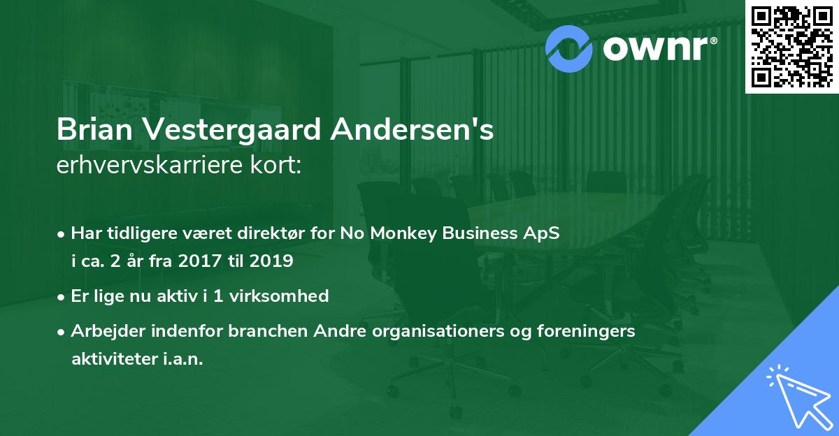 Brian Vestergaard Andersen's erhvervskarriere kort