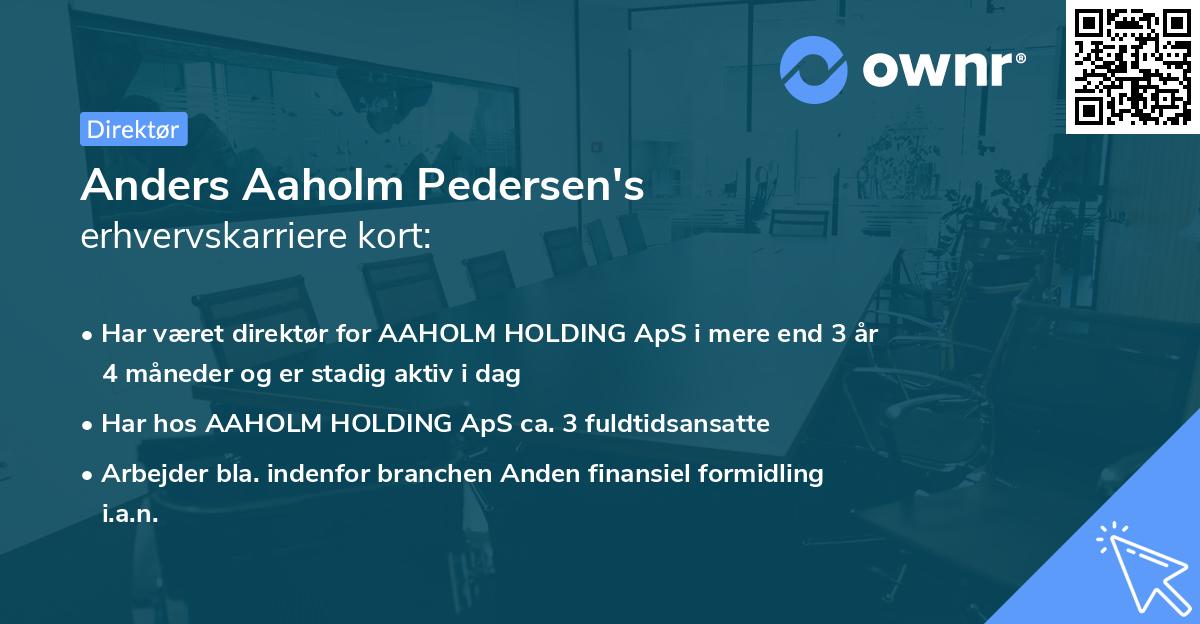 Anders Aaholm Pedersen's erhvervskarriere kort