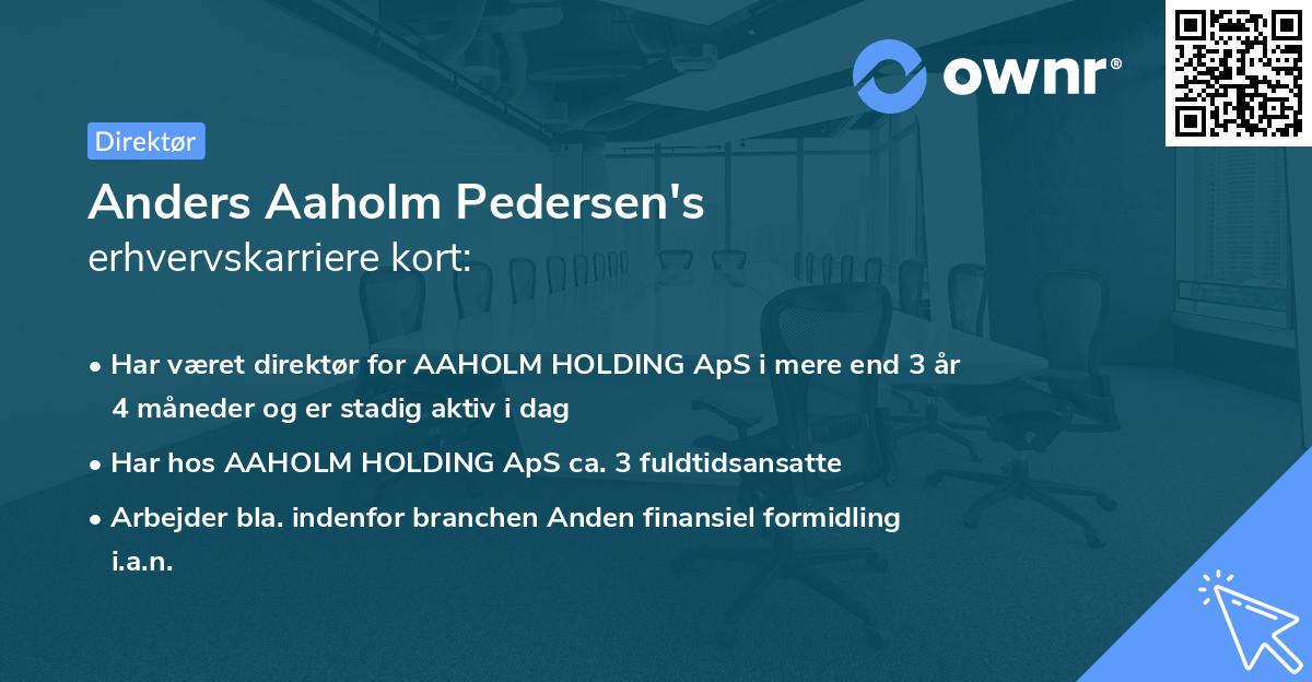 Anders Aaholm Pedersen's erhvervskarriere kort