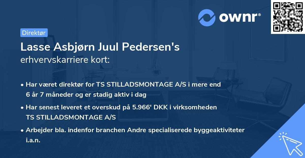 Lasse Asbjørn Juul Pedersen's erhvervskarriere kort