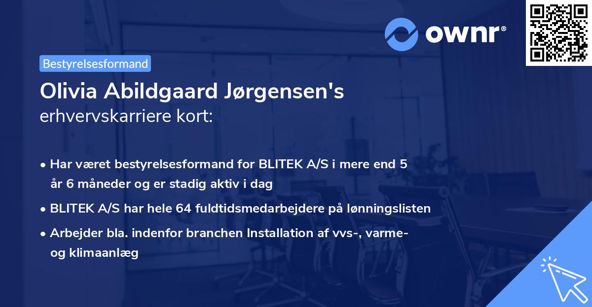 Olivia Abildgaard Jørgensen's erhvervskarriere kort