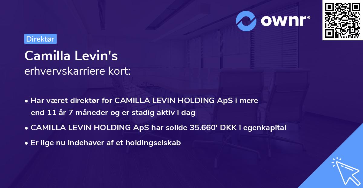 Camilla Levin's erhvervskarriere kort