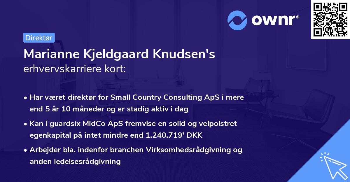 Marianne Kjeldgaard Knudsen's erhvervskarriere kort
