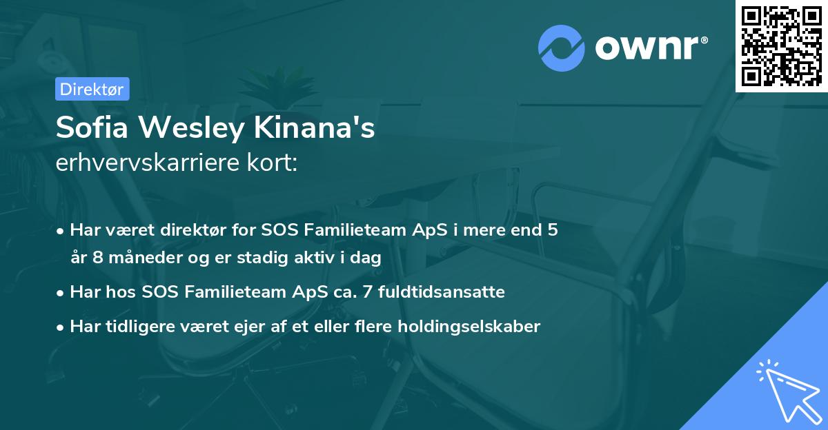 Sofia Wesley Kinana's erhvervskarriere kort