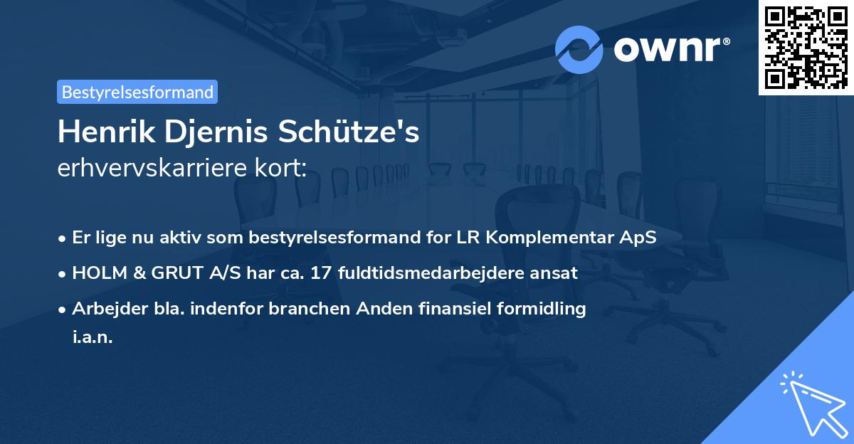 Henrik Djernis Schütze's erhvervskarriere kort