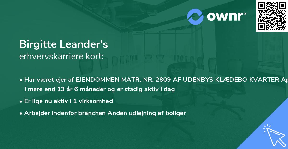 Birgitte Leander's erhvervskarriere kort