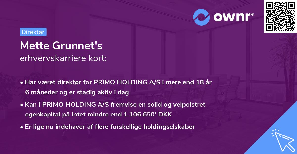 Mette Grunnet's erhvervskarriere kort