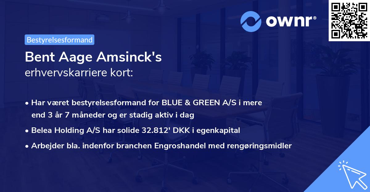 Bent Aage Amsinck's erhvervskarriere kort
