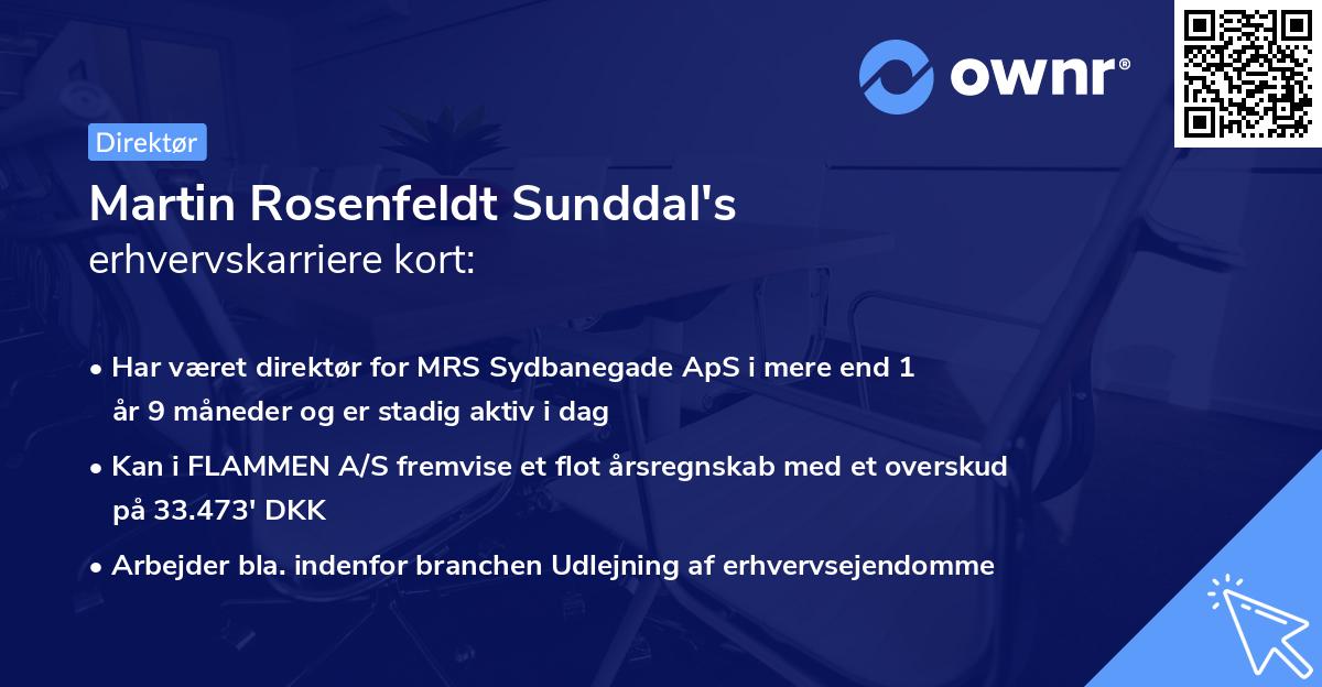 Martin Rosenfeldt Sunddal's erhvervskarriere kort