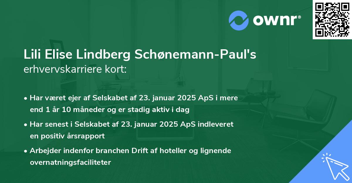 Lili Elise Lindberg Schønemann-Paul's erhvervskarriere kort