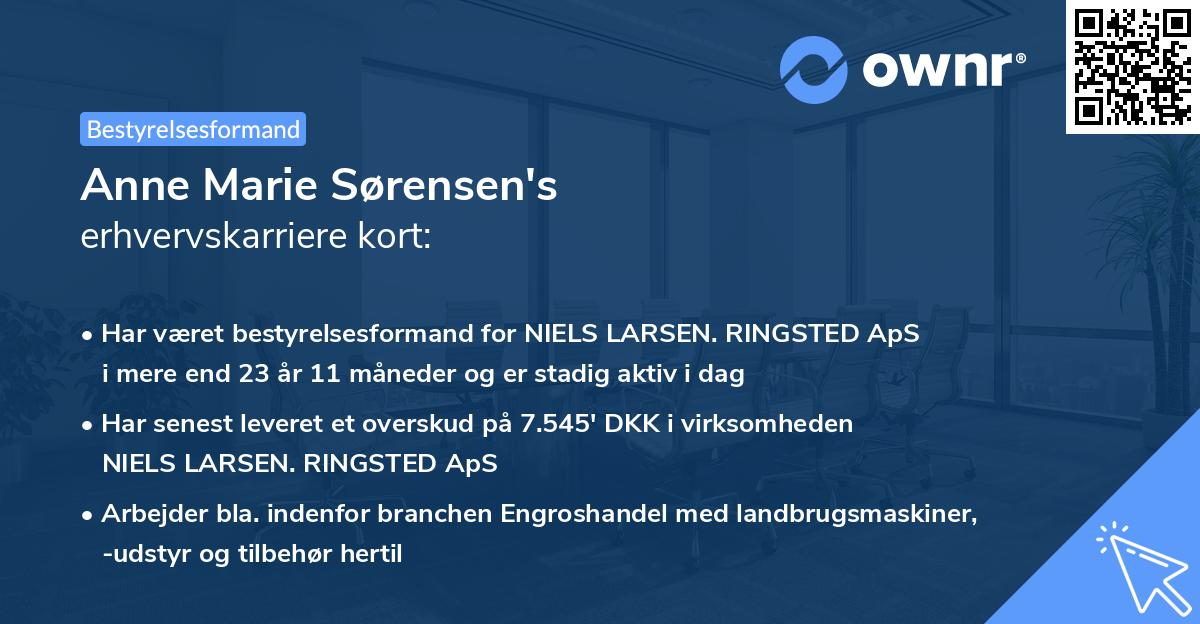 Anne Marie Sørensen's erhvervskarriere kort