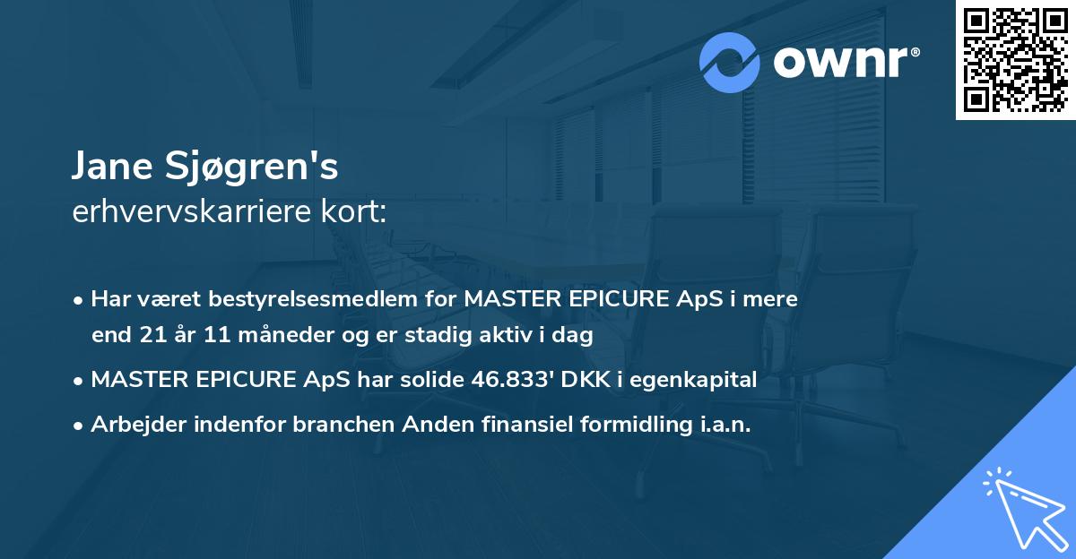 Jane Sjøgren's erhvervskarriere kort