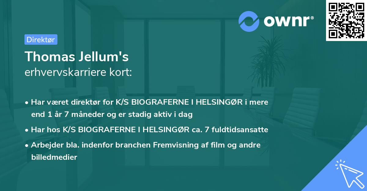 Thomas Jellum's erhvervskarriere kort