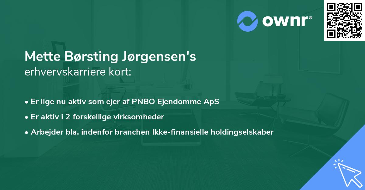 Mette Børsting Jørgensen's erhvervskarriere kort