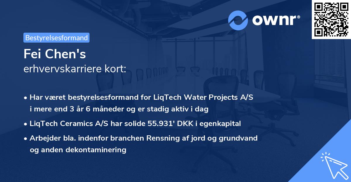 Fei Chen's erhvervskarriere kort
