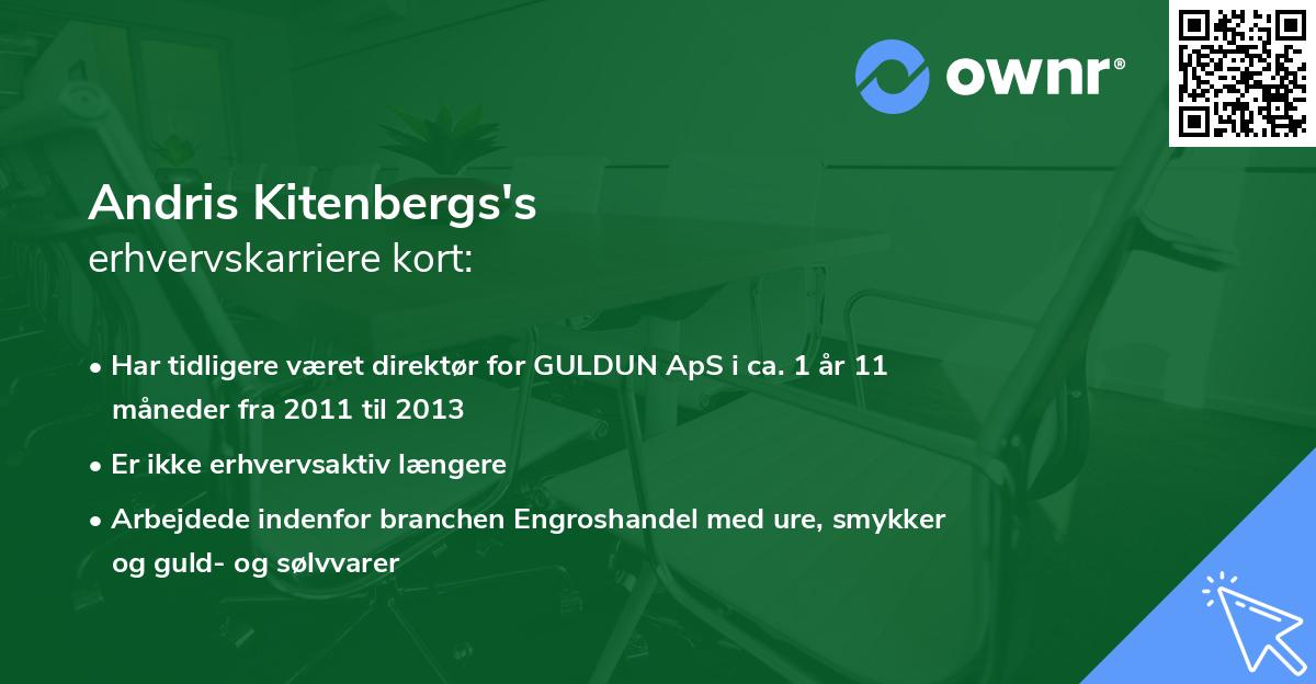 Andris Kitenbergs's erhvervskarriere kort