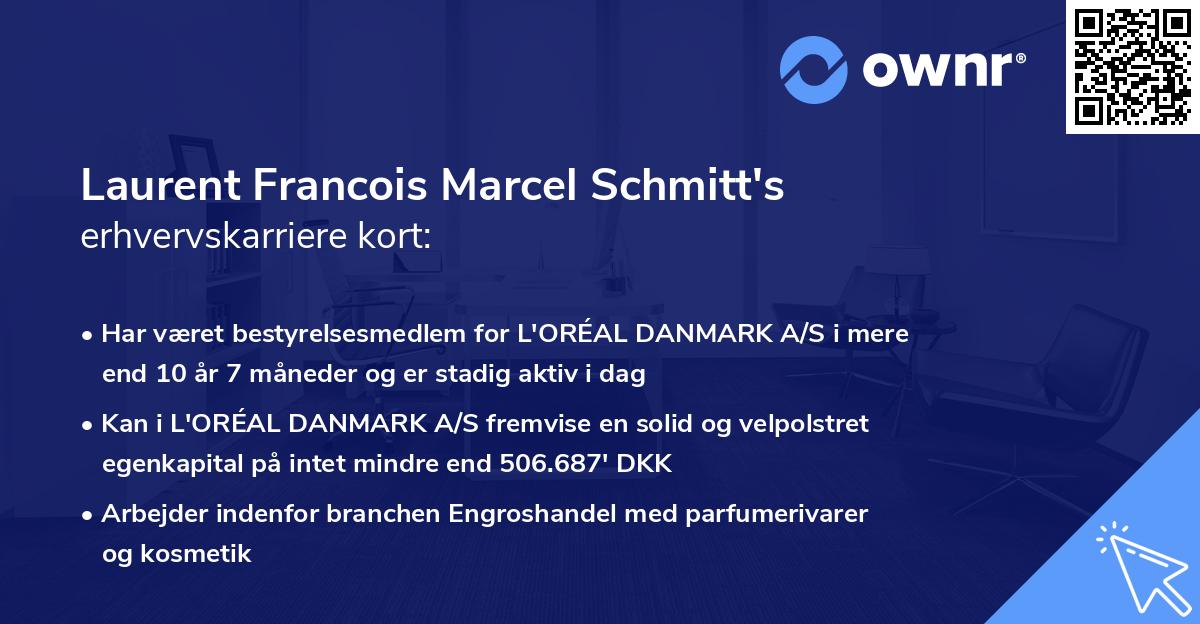 Laurent Francois Marcel Schmitt's erhvervskarriere kort