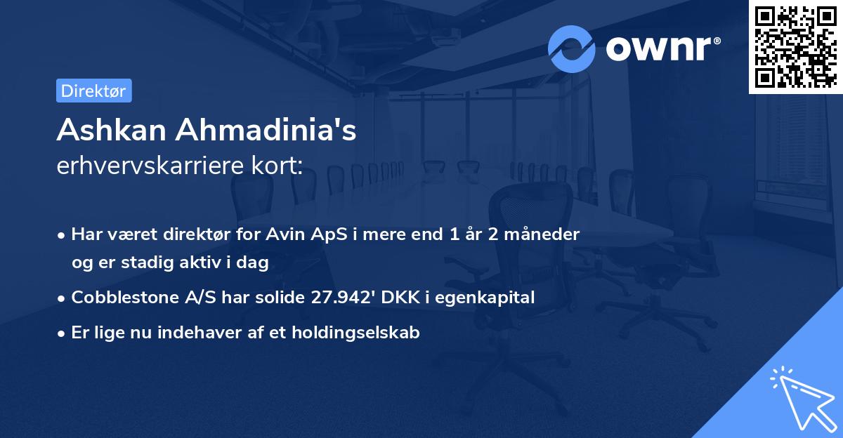 Ashkan Ahmadinia's erhvervskarriere kort