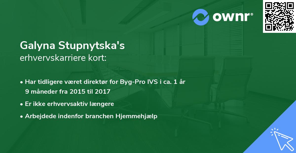 Galyna Stupnytska's erhvervskarriere kort