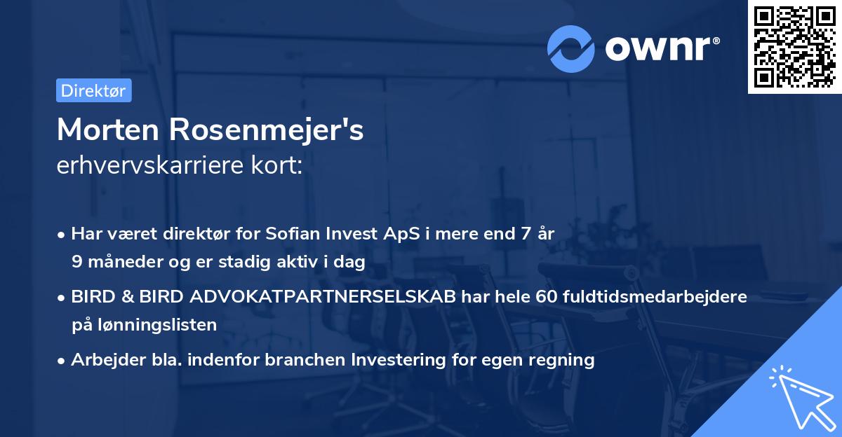 Morten Rosenmejer's erhvervskarriere kort