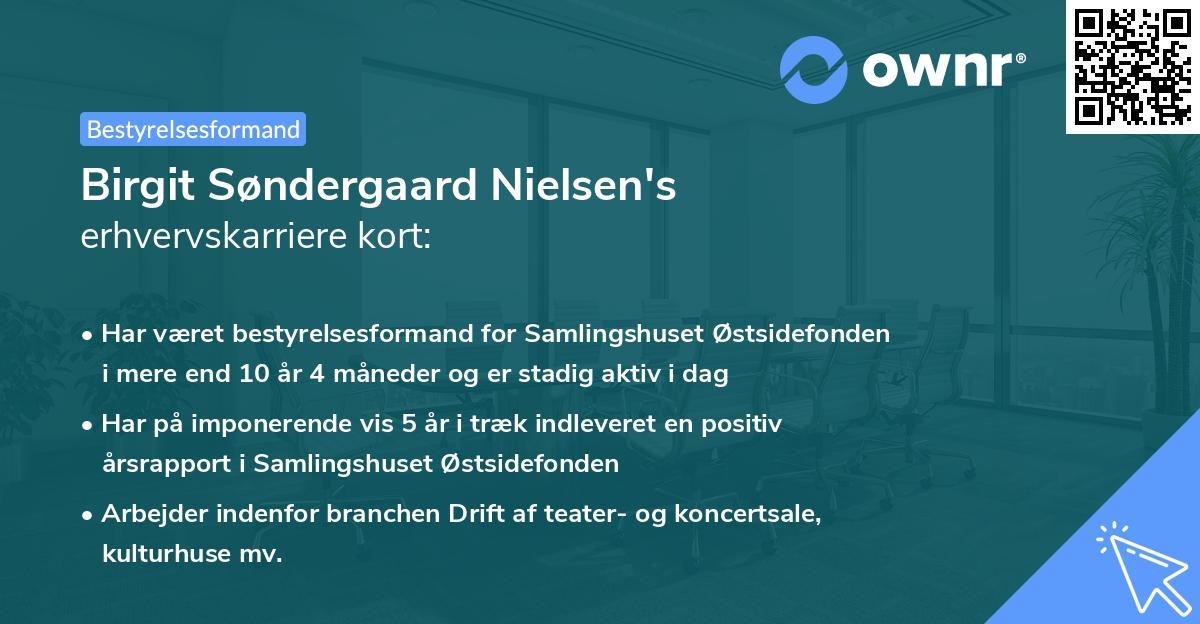 Birgit Søndergaard Nielsen's erhvervskarriere kort