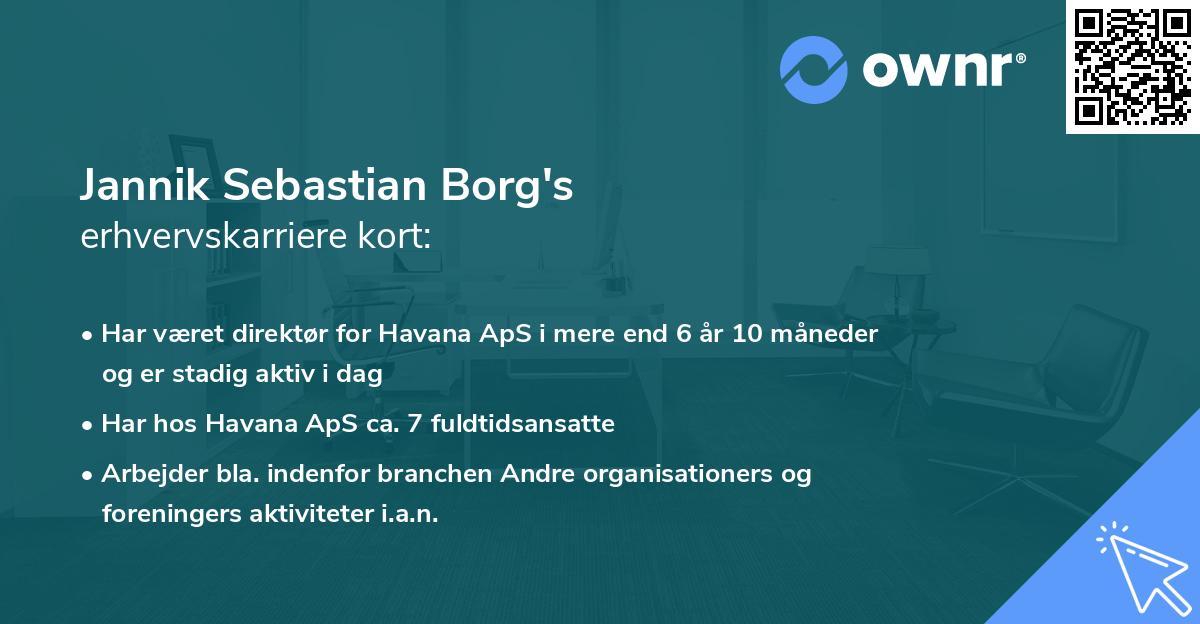 Jannik Sebastian Borg's erhvervskarriere kort