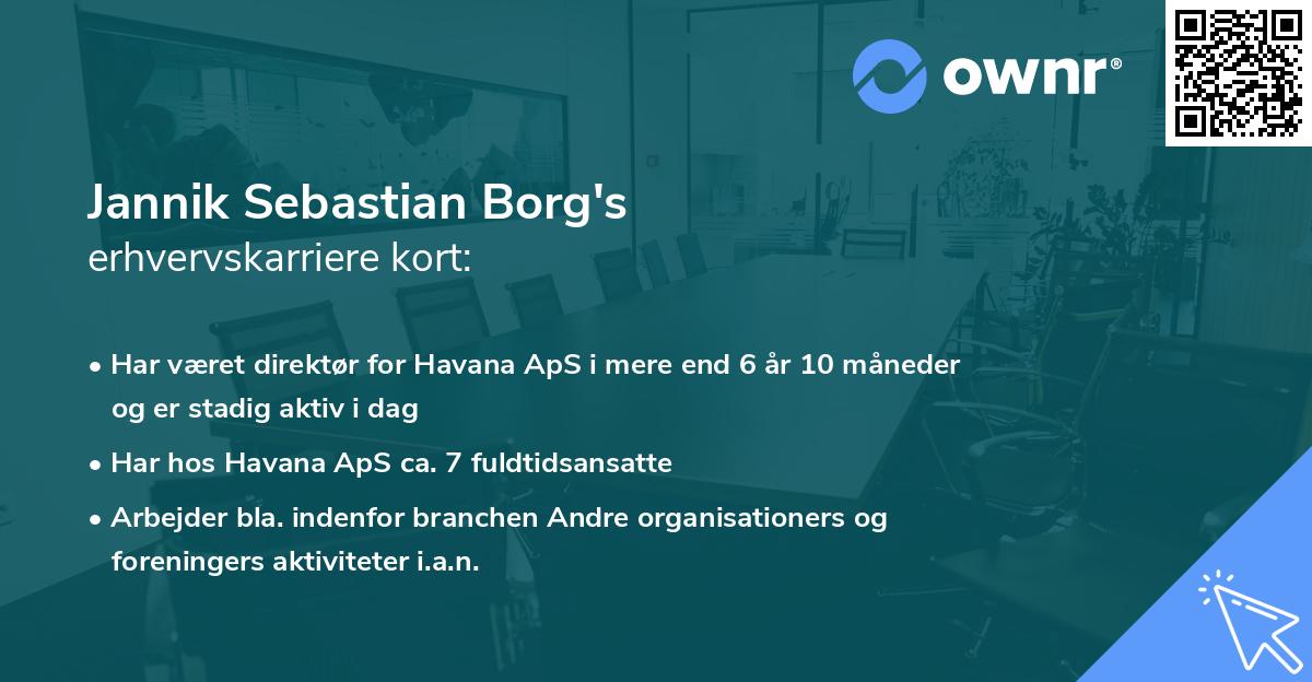 Jannik Sebastian Borg's erhvervskarriere kort