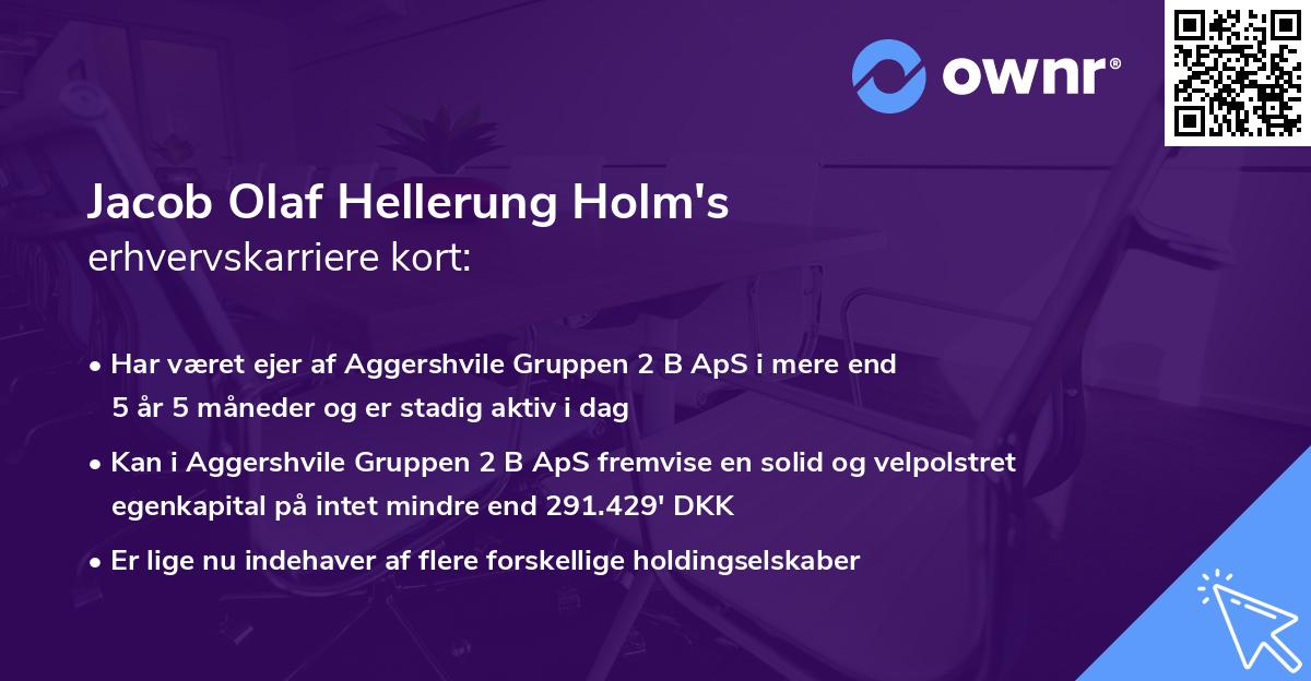 Jacob Olaf Hellerung Holm's erhvervskarriere kort