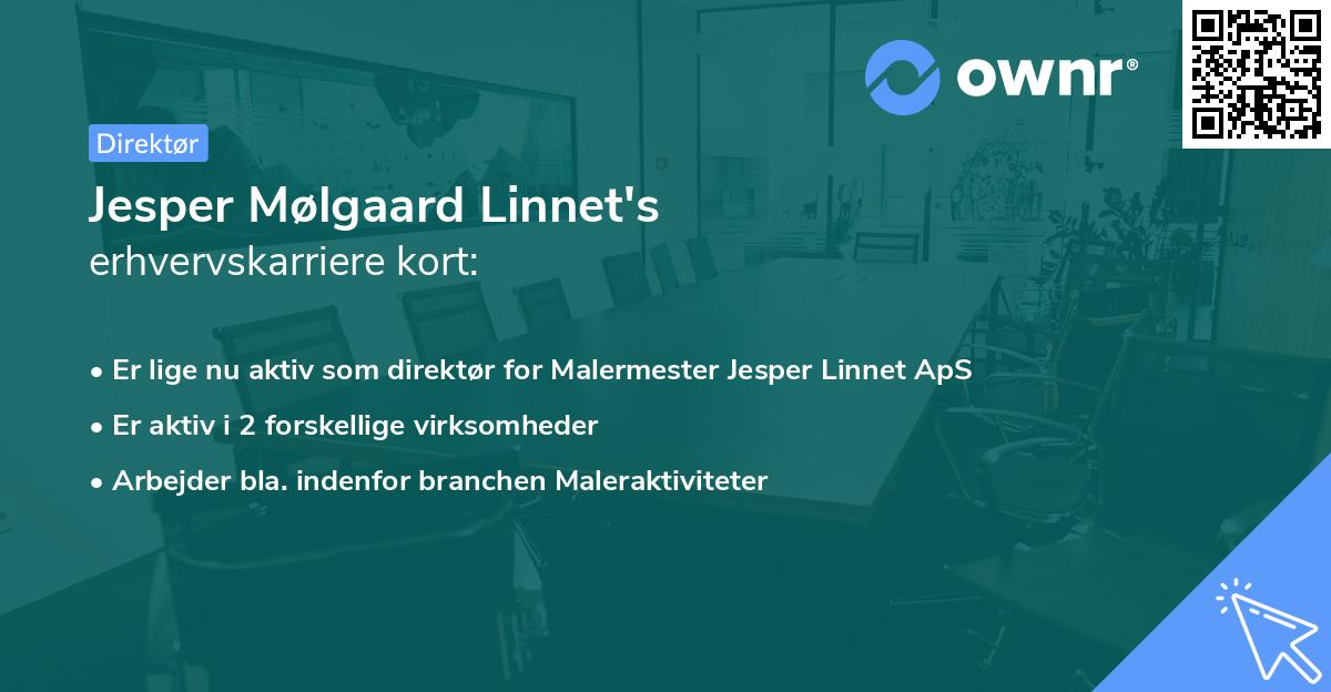 Jesper Mølgaard Linnet's erhvervskarriere kort