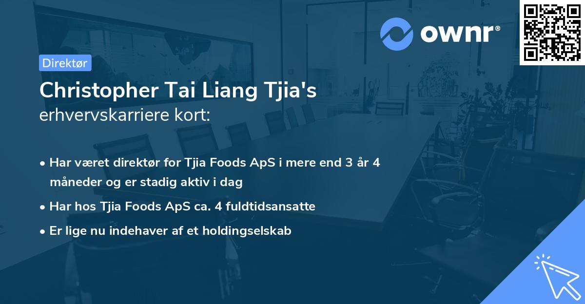 Christopher Tai Liang Tjia's erhvervskarriere kort