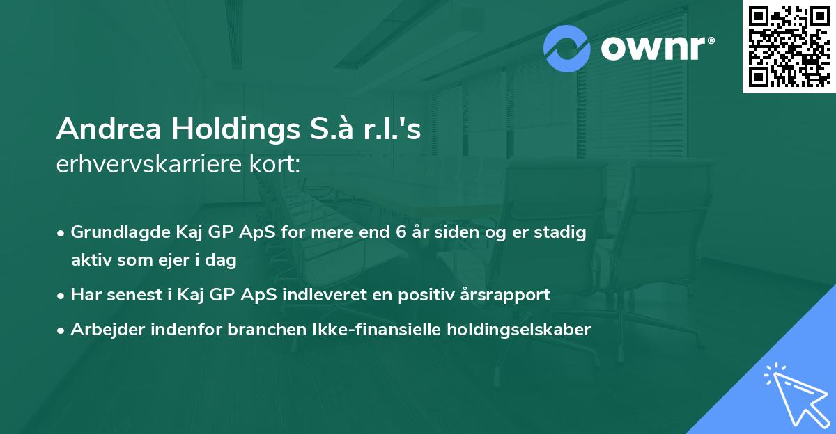 Andrea Holdings S.à r.l.'s erhvervskarriere kort