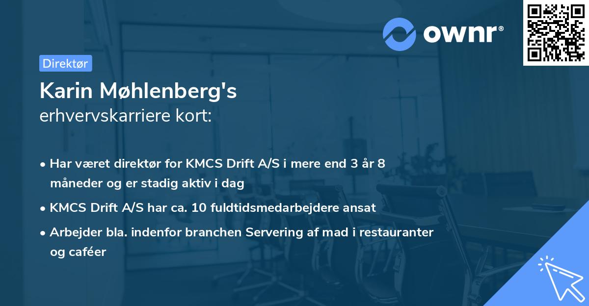 Karin Møhlenberg's erhvervskarriere kort
