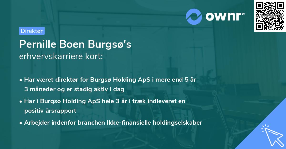 Pernille Boen Burgsø's erhvervskarriere kort