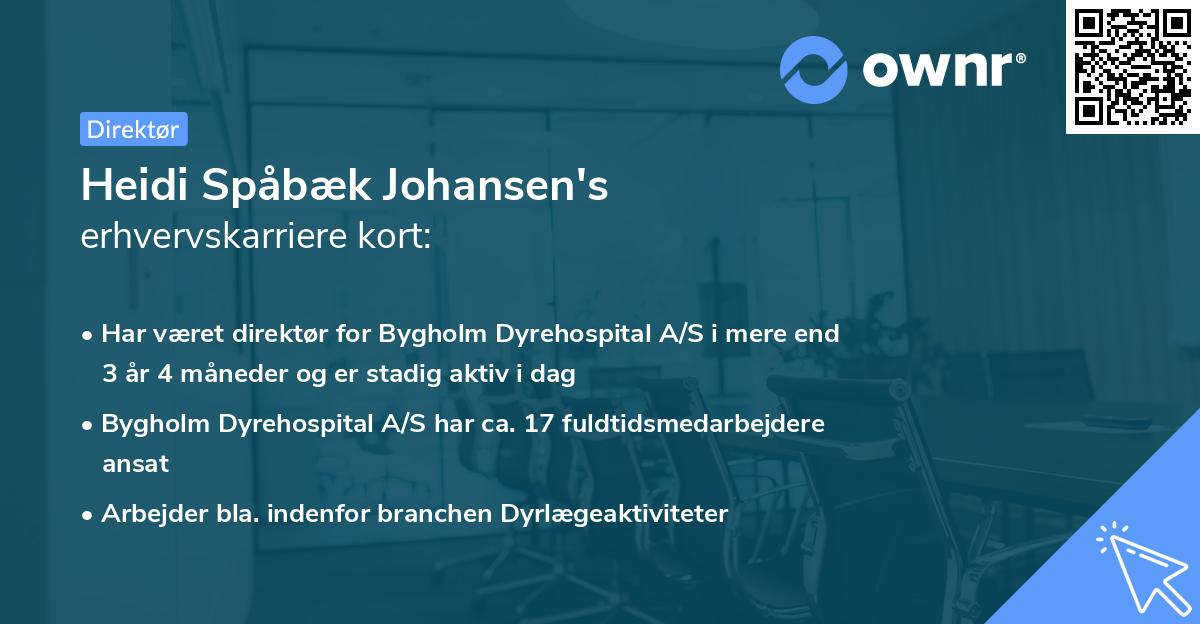 Heidi Spåbæk Johansen's erhvervskarriere kort