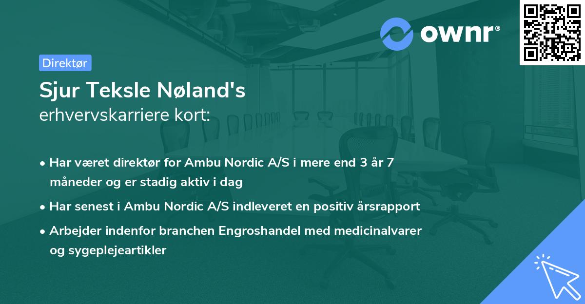 Sjur Teksle Nøland's erhvervskarriere kort