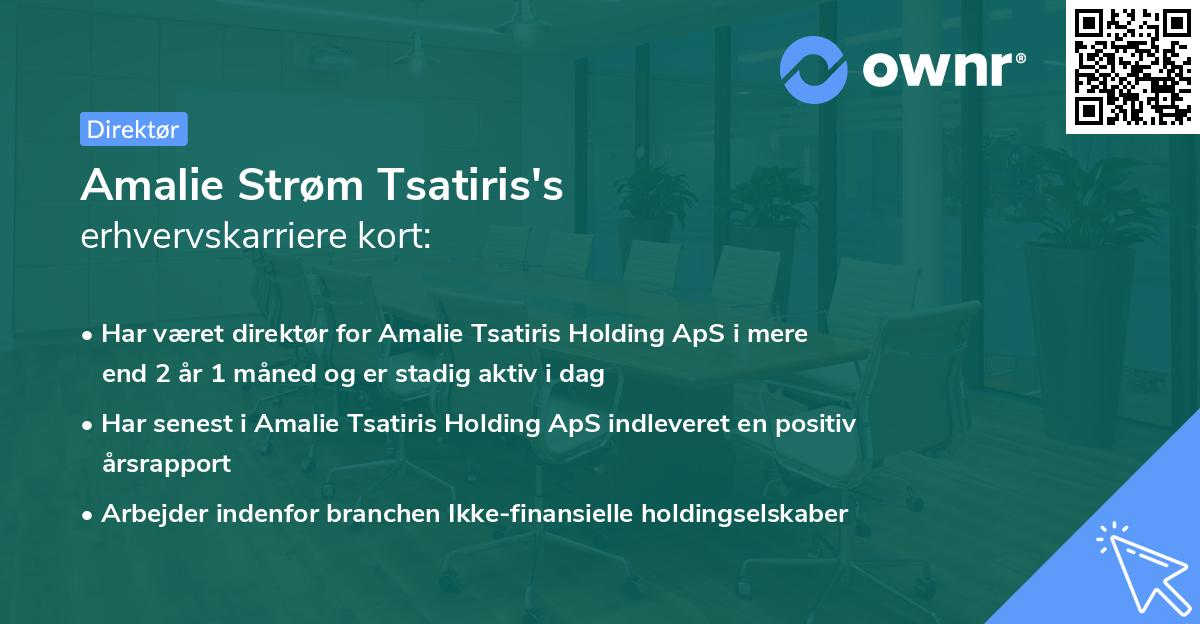 Amalie Strøm Tsatiris's erhvervskarriere kort
