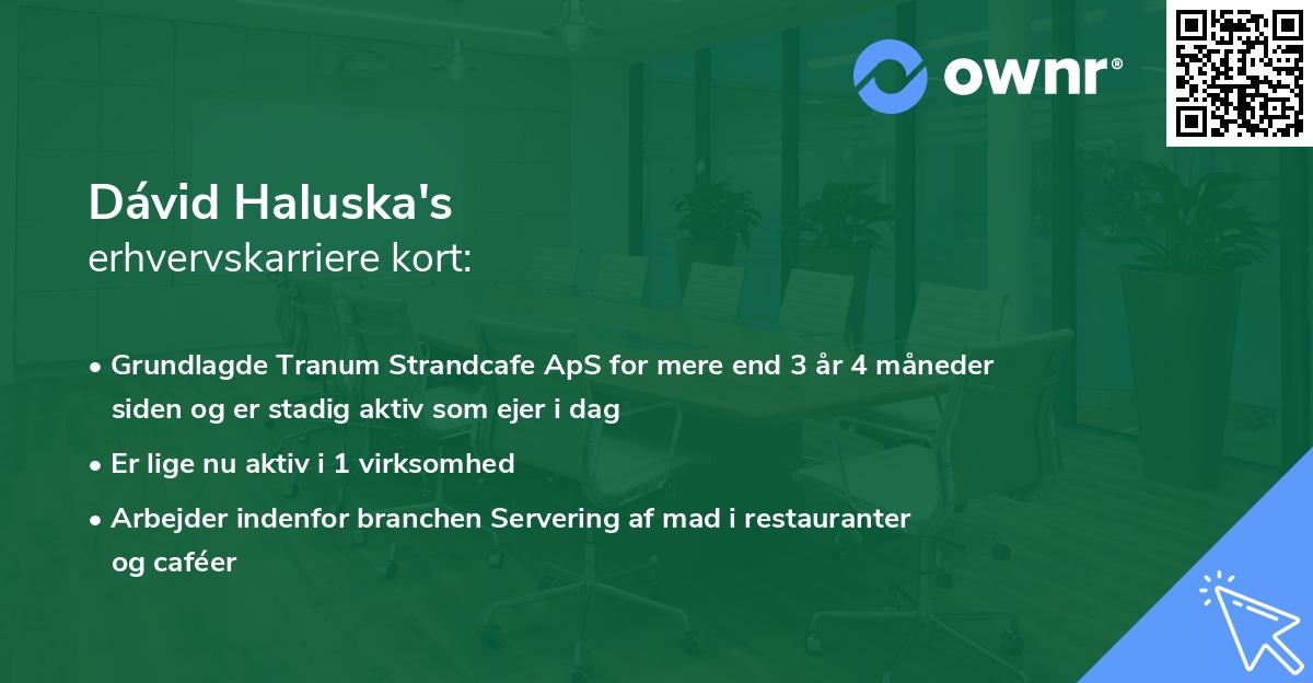 Dávid Haluska's erhvervskarriere kort