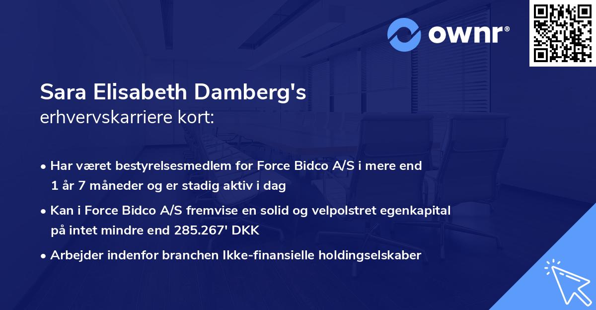 Sara Elisabeth Damberg's erhvervskarriere kort