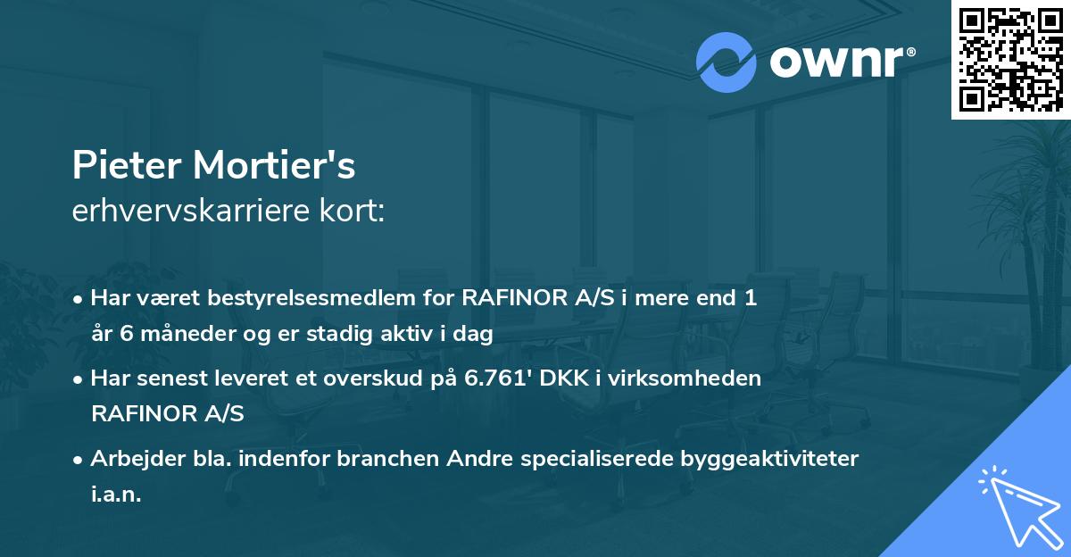 Pieter Mortier's erhvervskarriere kort