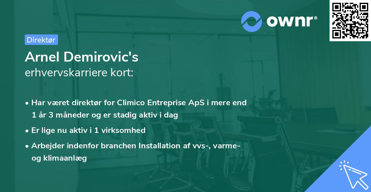 Arnel Demirovic's erhvervskarriere kort