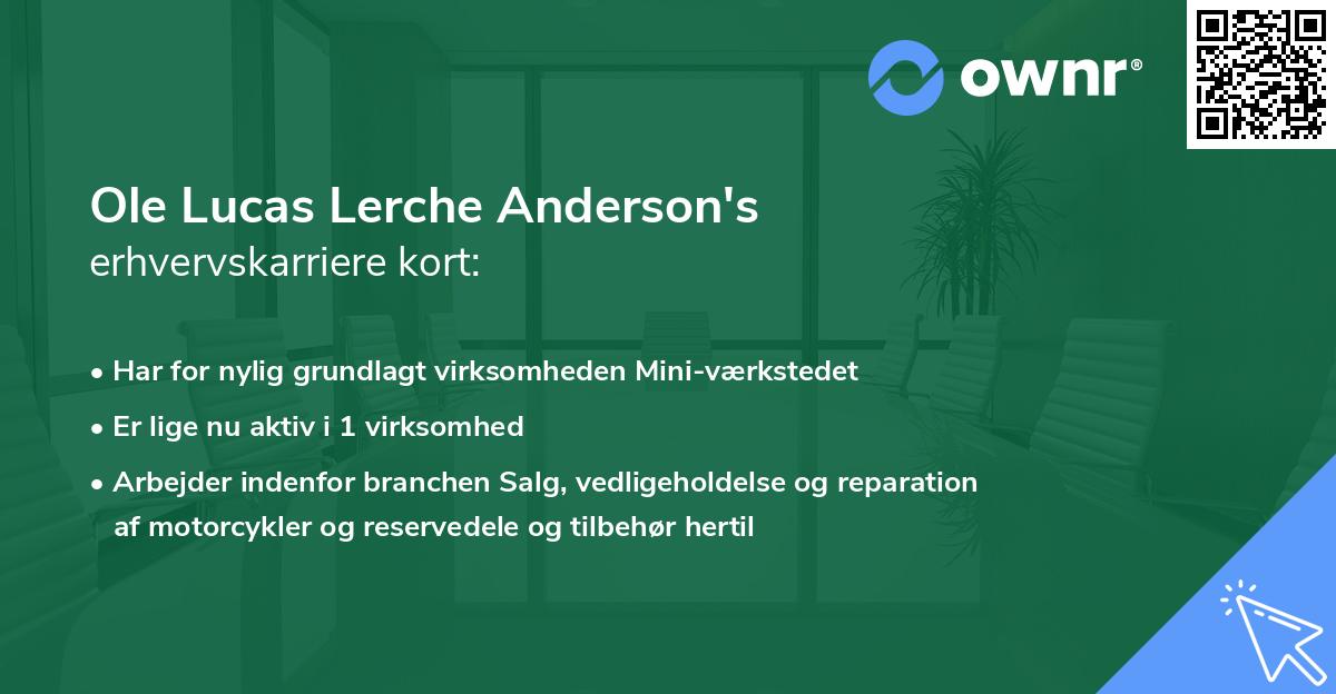 Ole Lucas Lerche Anderson's erhvervskarriere kort