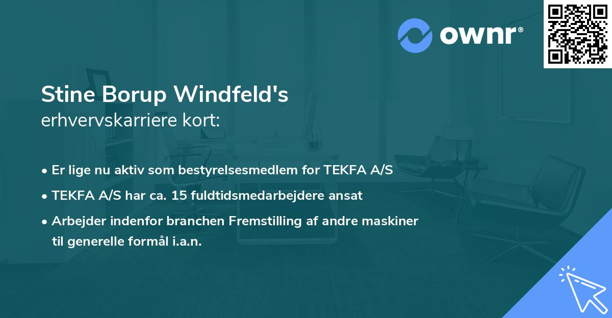 Stine Borup Windfeld's erhvervskarriere kort