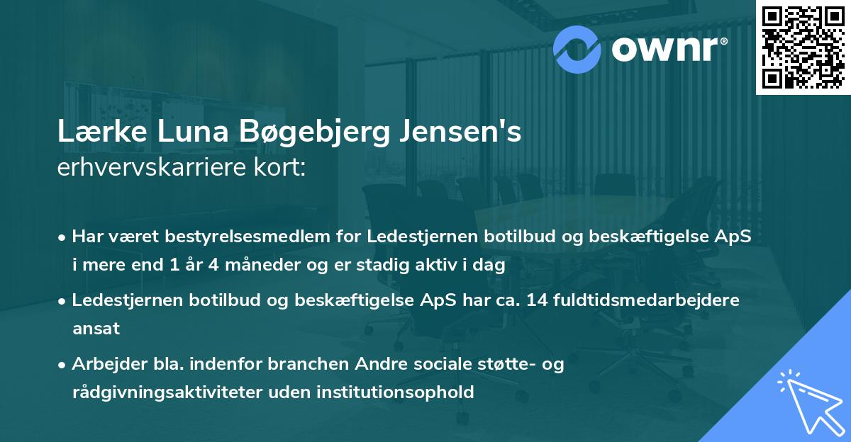 Lærke Luna Bøgebjerg Jensen's erhvervskarriere kort