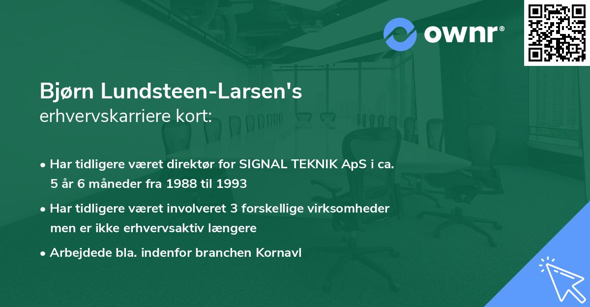 Bjørn Lundsteen-Larsen's erhvervskarriere kort