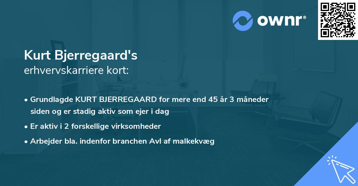 Kurt Bjerregaard's erhvervskarriere kort