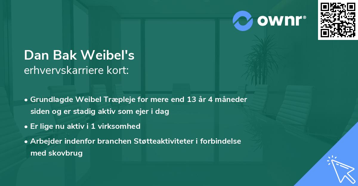 Dan Bak Weibel's erhvervskarriere kort
